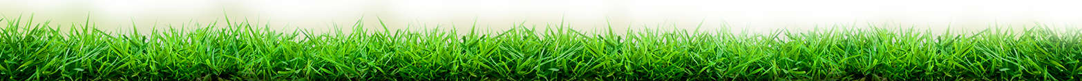 grass background